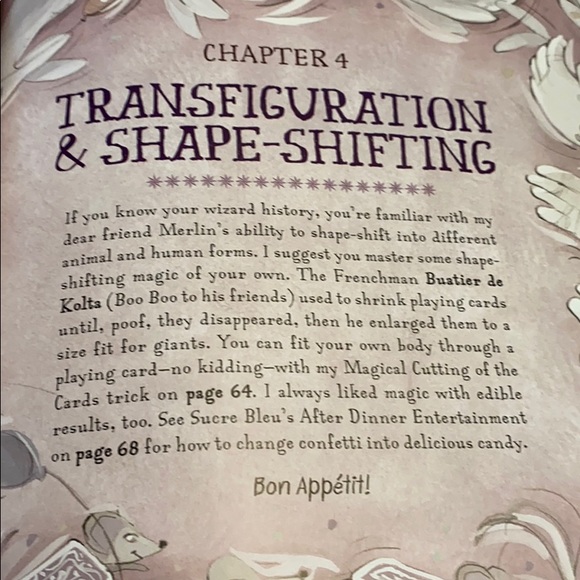 The Book of Wizard Magic 🎩 - Picture 12 of 16